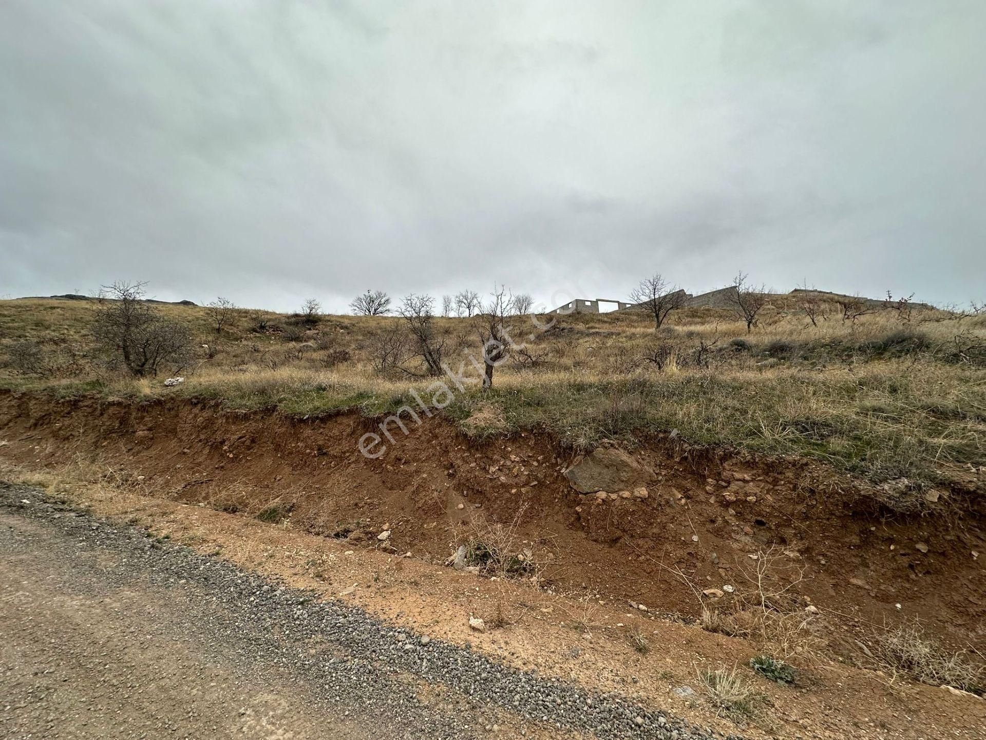 Öz Gaye Emlaktan Develi Tombak Çapayeri Mevkiinde 1316 M2 Satılık Bağ - Görsel 6