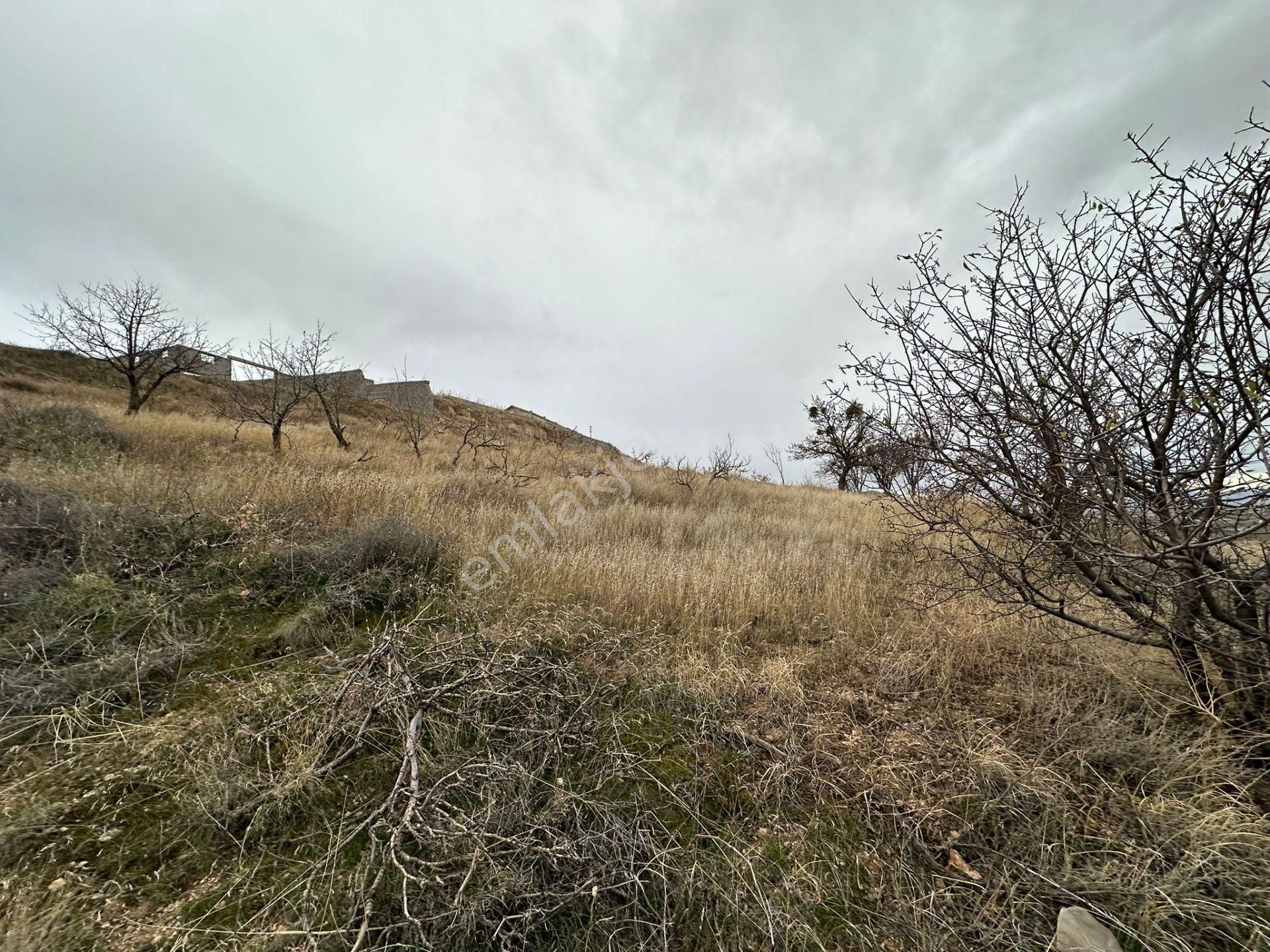 Öz Gaye Emlaktan Develi Tombak Çapayeri Mevkiinde 1316 M2 Satılık Bağ - Görsel 8