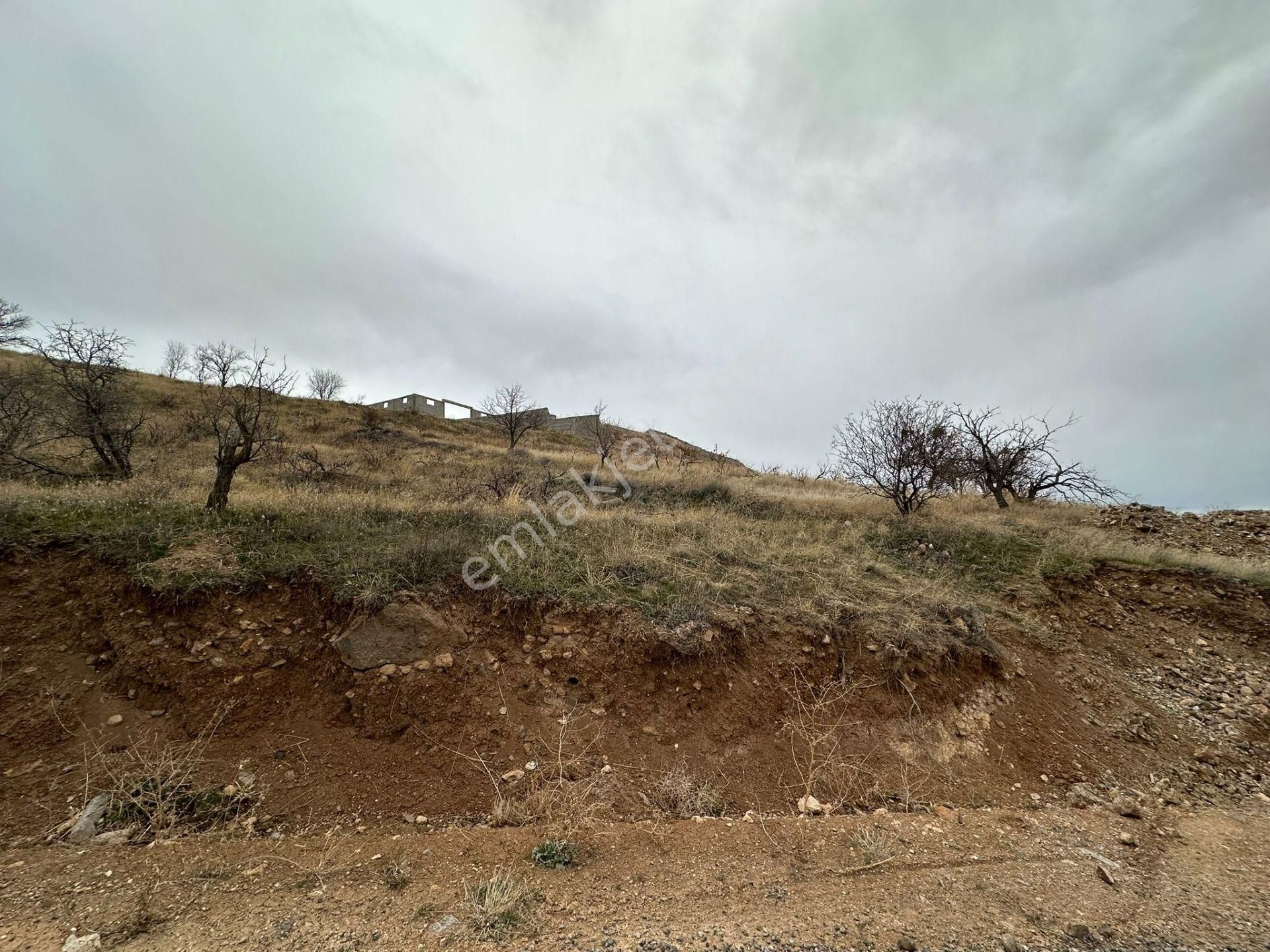 Öz Gaye Emlaktan Develi Tombak Çapayeri Mevkiinde 1316 M2 Satılık Bağ - Görsel 9