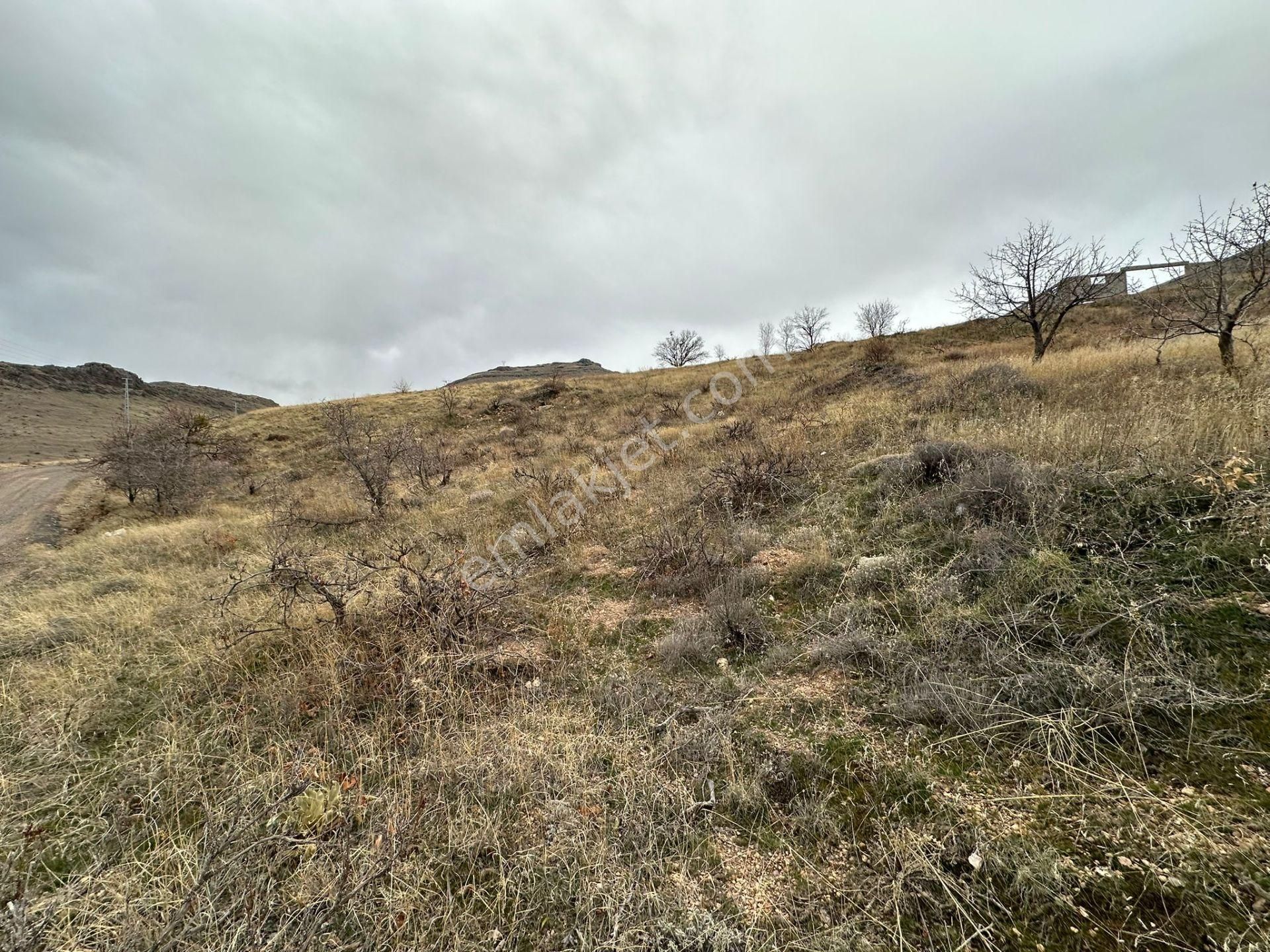 Öz Gaye Emlaktan Develi Tombak Çapayeri Mevkiinde 1316 M2 Satılık Bağ - Görsel 7