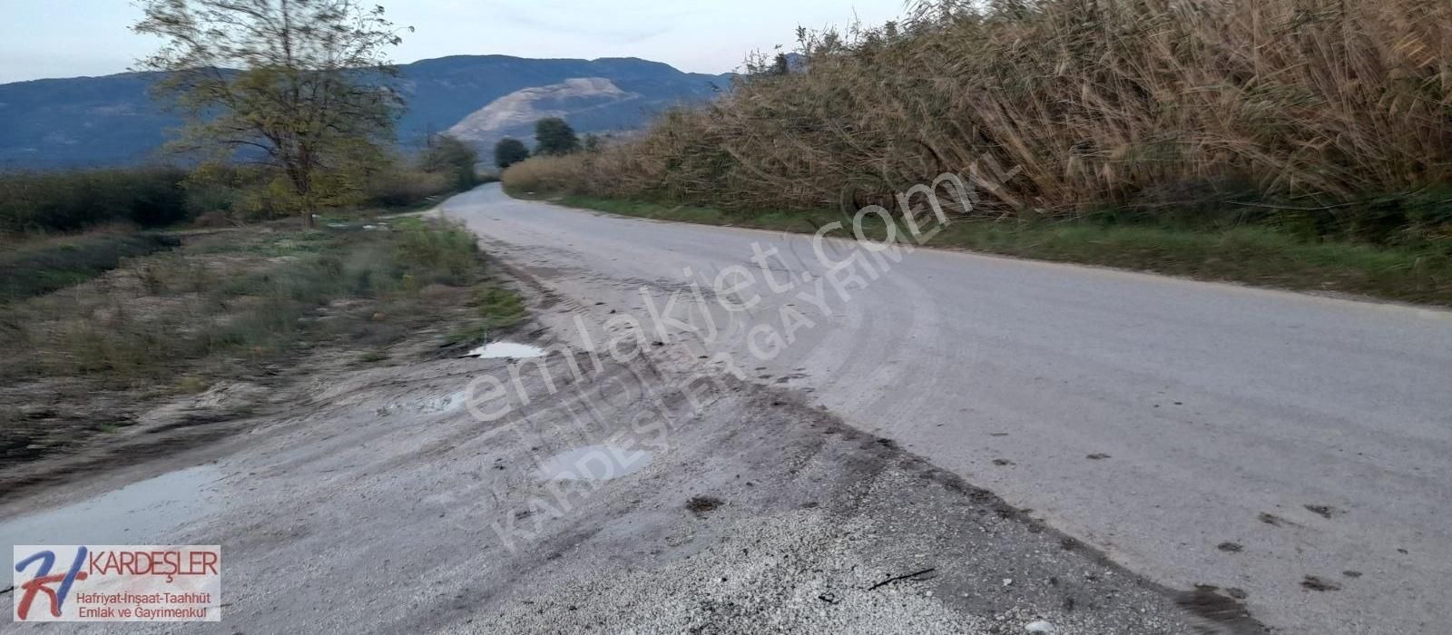 Sakarya pamukova fevzi̇ye mah. ana yol kenari telli̇ üzüm baği