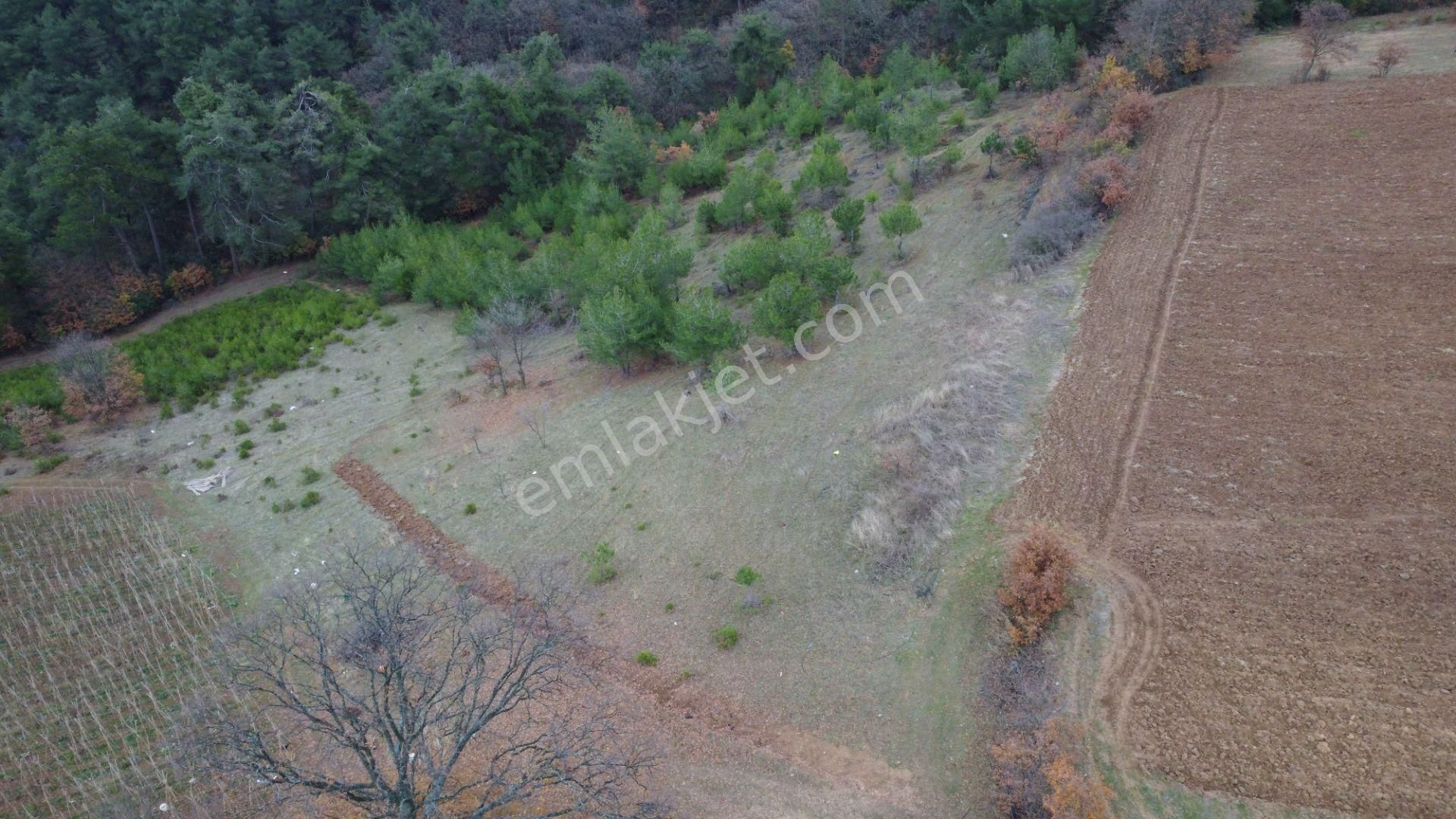 Osmaneli Akçapınar Köyü Satılık Tarla Akçapınar Köyünde 4002 M2 Satılık Tarla