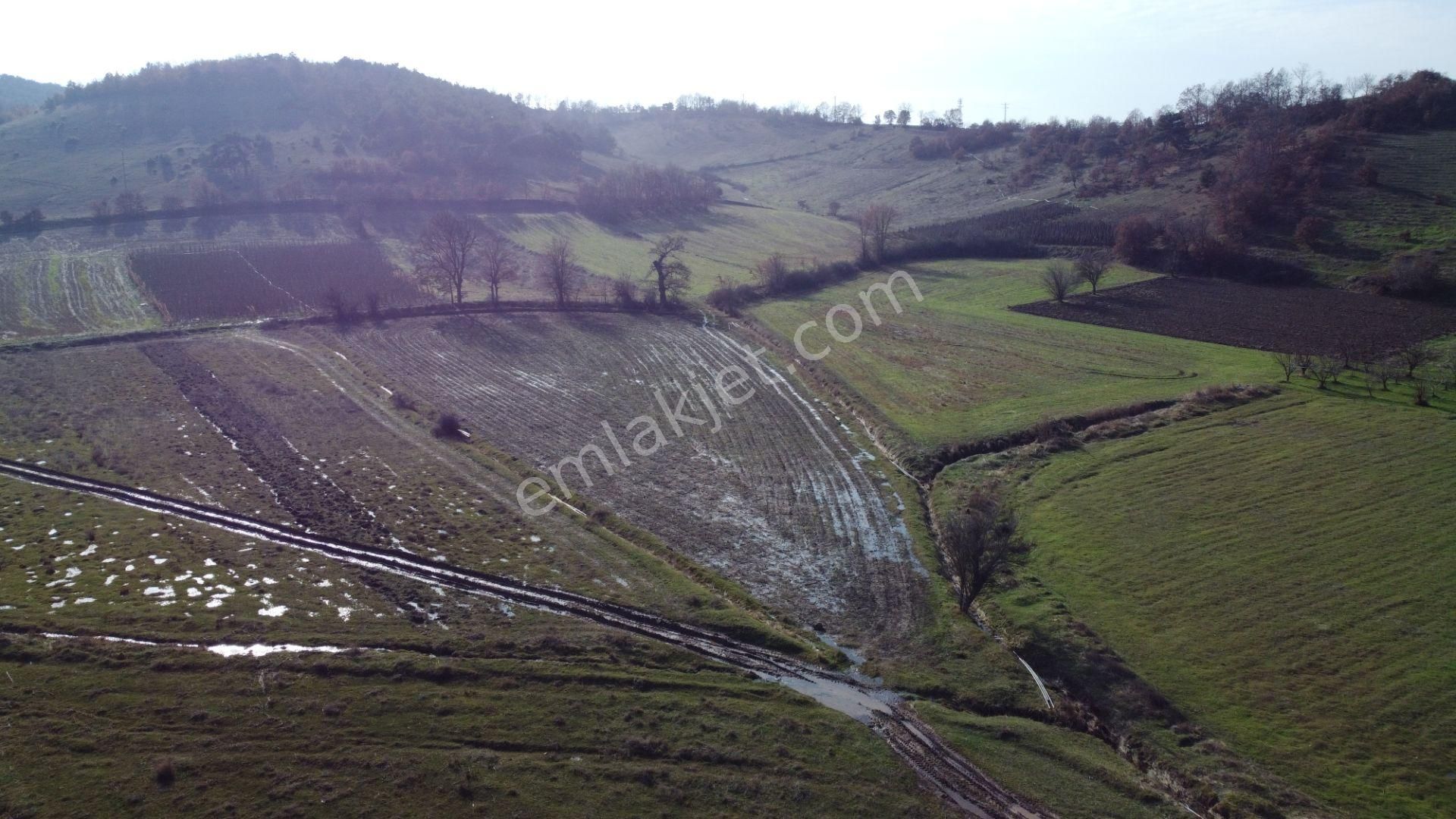 Oğulpaşa Köyünde 5052 M2 Satılık Tarla
