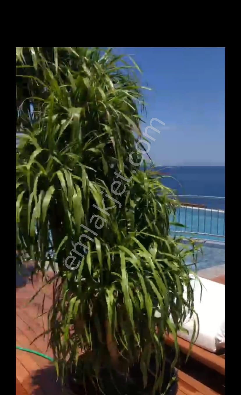 Yalıkavak Tilkicik De Villa Tipi Denize Sıfır Satılık Rezidans - Görsel 26