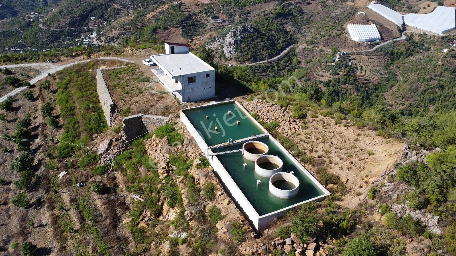 Satılık Alanya Çamlıca Denız Ve Kale Manzaralı Süper Bahçe - Görsel 3