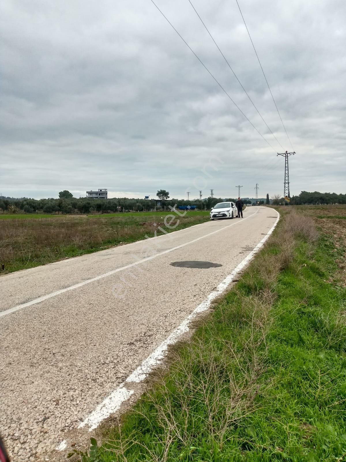 Sarıçam Hocallı Satılık Tarla  Hocallı da Asfatl Yol Üzeri 6 Dönüm Satılık Tarla