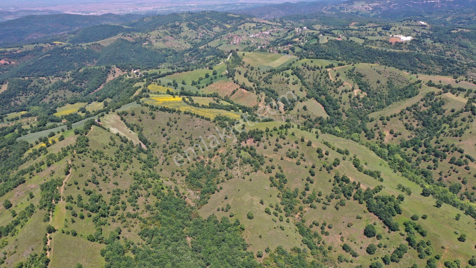 Biga Elmalı Köyü Satılık Tarla ÇANAKKALE BİGA ELMALI KÖYÜ 16.500 M2 YATIRIMLIK SATILIK TARLA