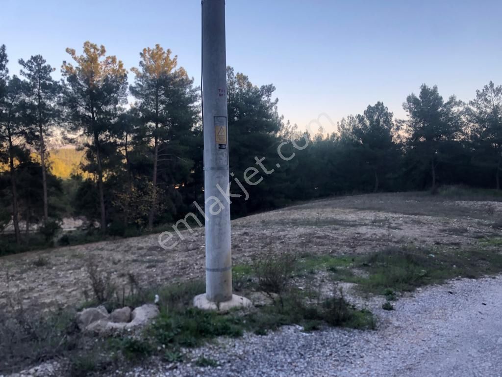 Satılık Tarla - Görsel 2