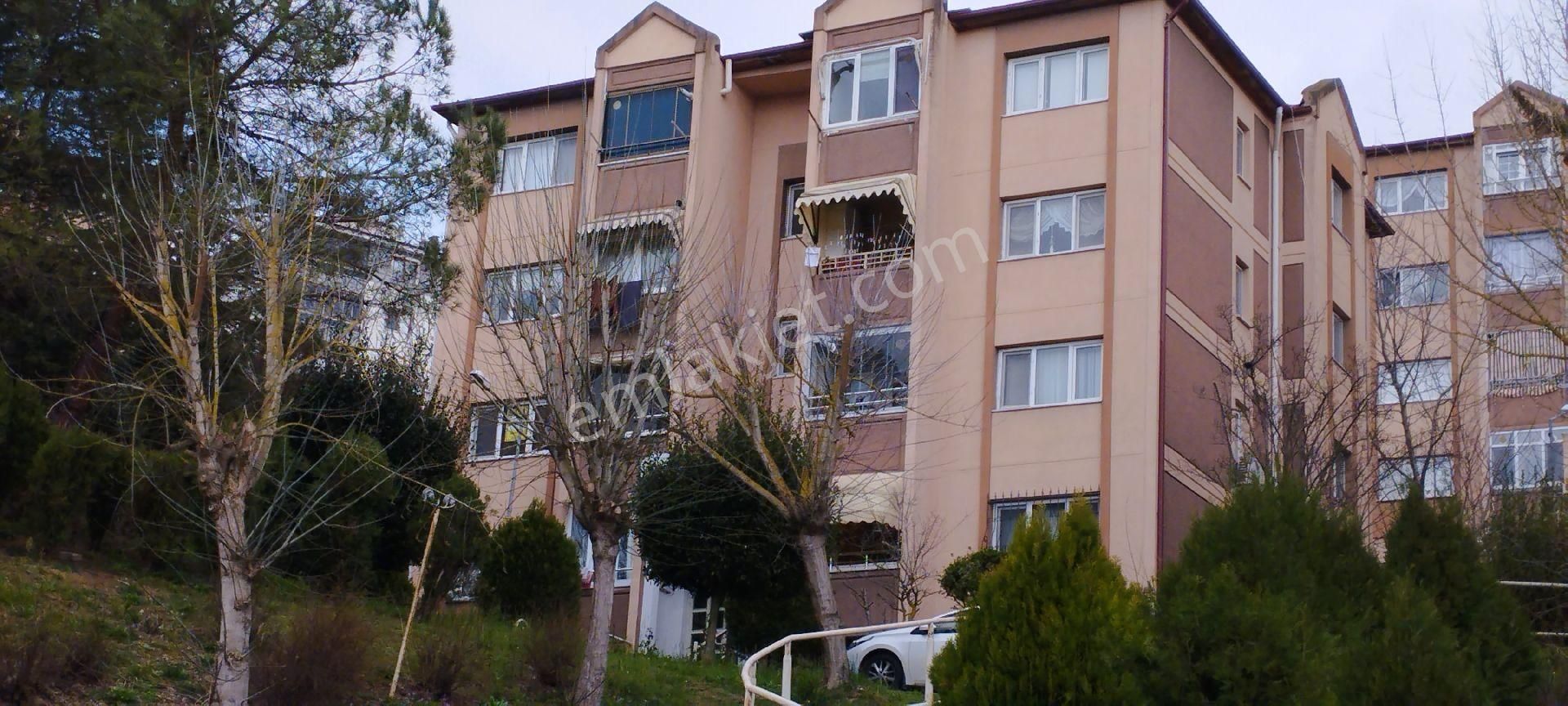 Adapazarı Korucuk Satılık Daire SAKARYA ZÜMRÜT EMLAK'TAN KORUCUKTA MARKET, PAZAR, OKULYANI 3+1, SATILIK DAİRE