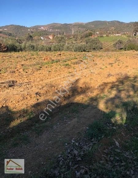 Seferihisar Orhanlıda 12 .000 M2 Zeytin Ağaçlı Tarla - Görsel 17