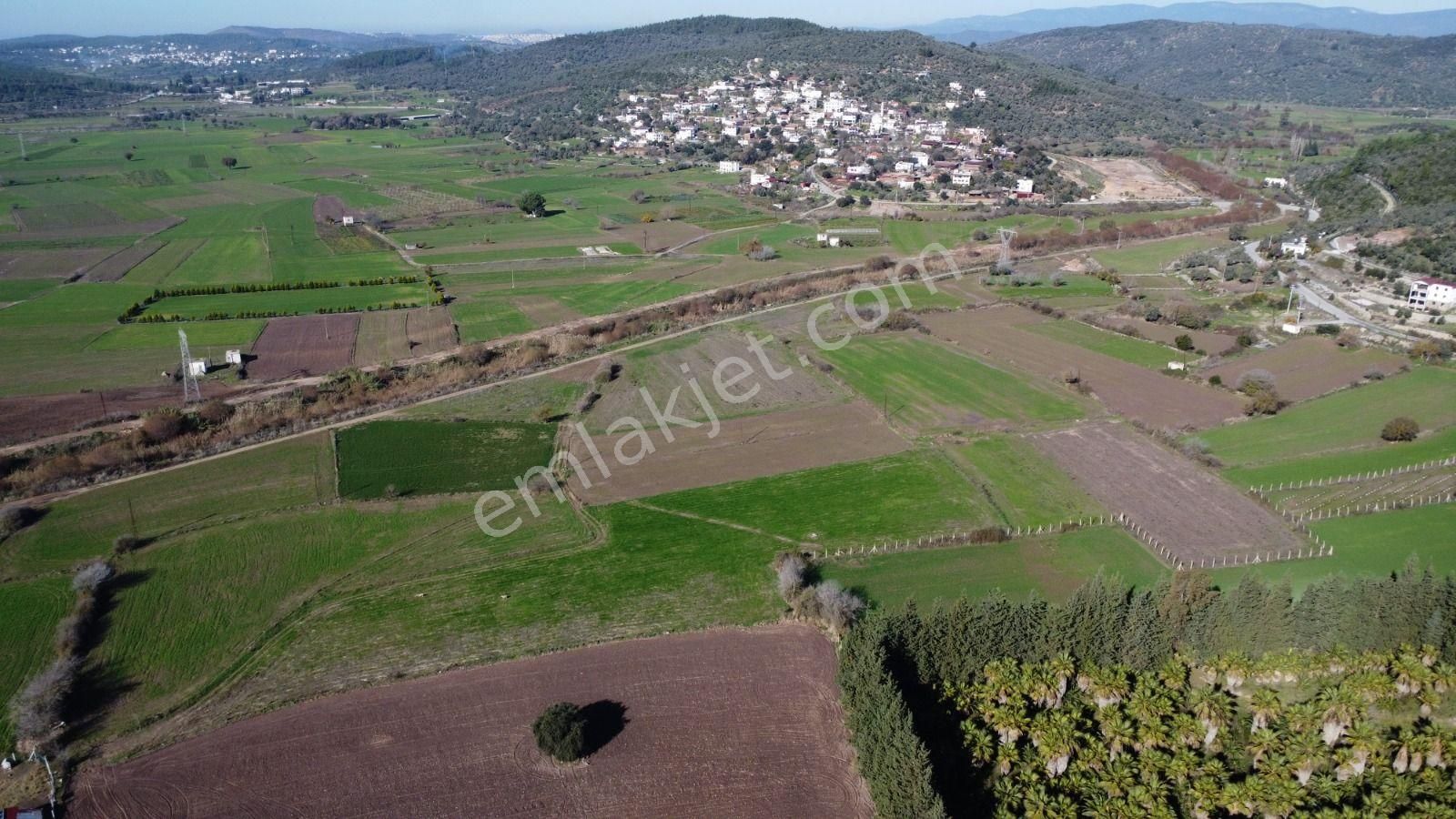 Bodrum Mumcular Satılık Tarla Bodrum Mumcular'da Yatırımlık Düz Tarla