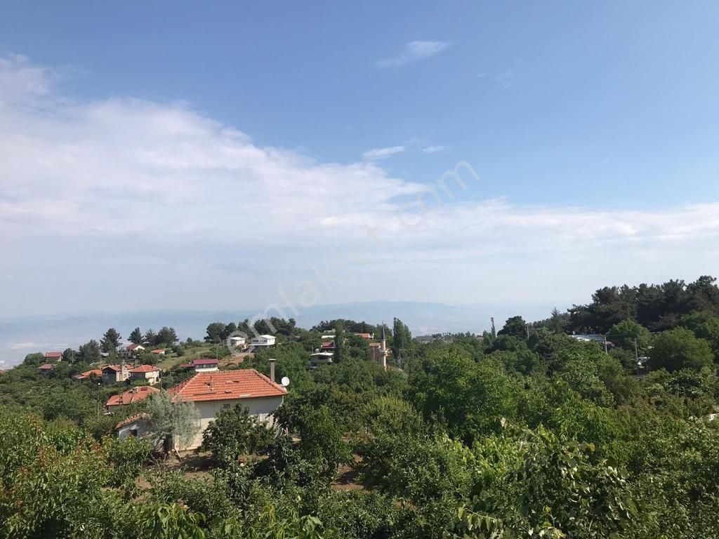 Villa 3.100 M2 - Görsel 17