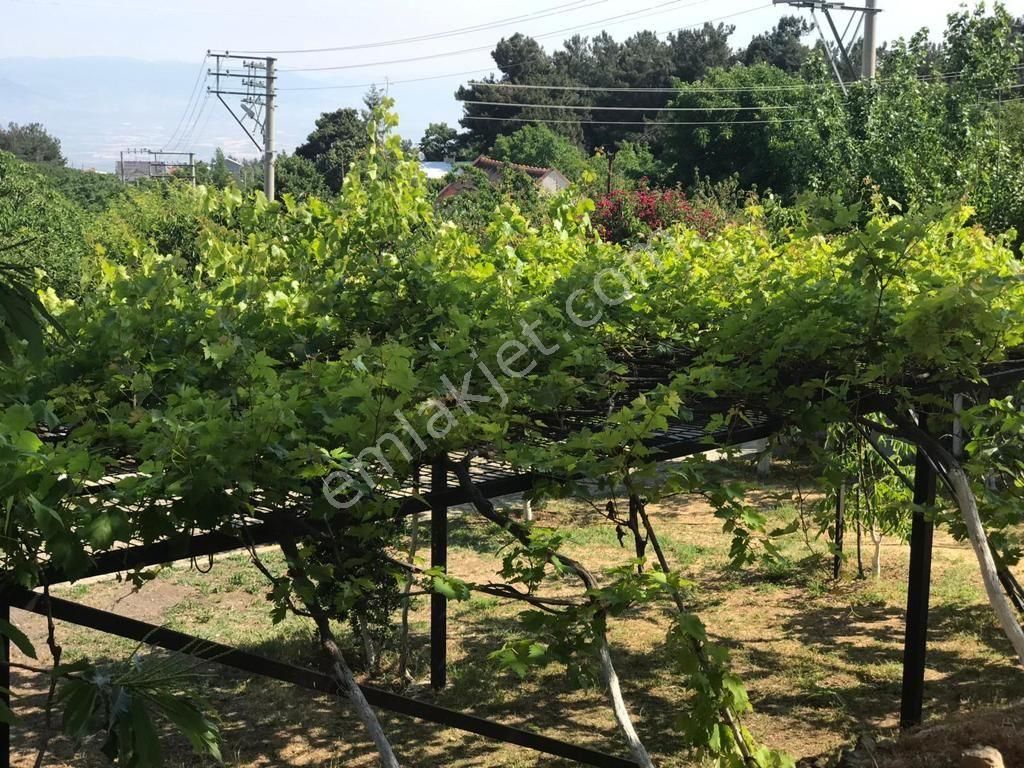 Villa 3.100 M2 - Görsel 22