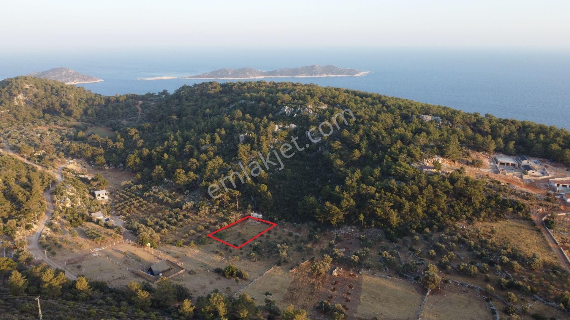 Kaş Gelemiş Satılık Tarla Baranda Gayrimenkul'den Kaş / Patara Yalı Mevkiinde 905 M² Satılık 2b Villa Arsası