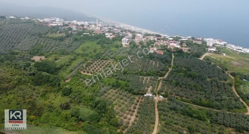 Mudanya Eğerce Satılık Bağ & Bahçe MUDANYA EĞERCEDE SATILIK TEK TAPU ARAZİ