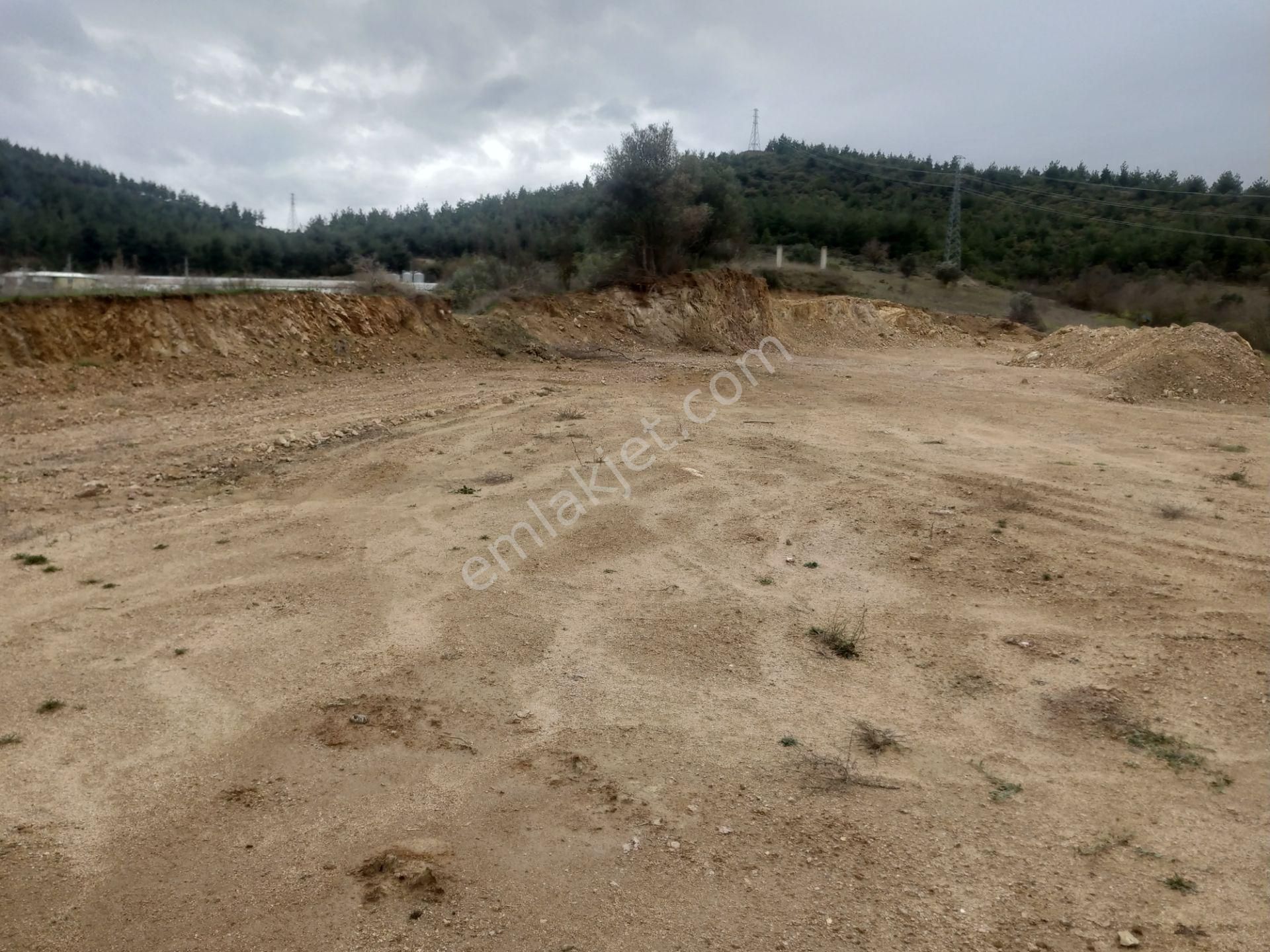 Osmaneli Camikebir Satılık Bağ & Bahçe  CAMİKEBİR MAHALLESİNDE  UYGUN FİYATLI  8352 M2 SATILIK BAĞ 