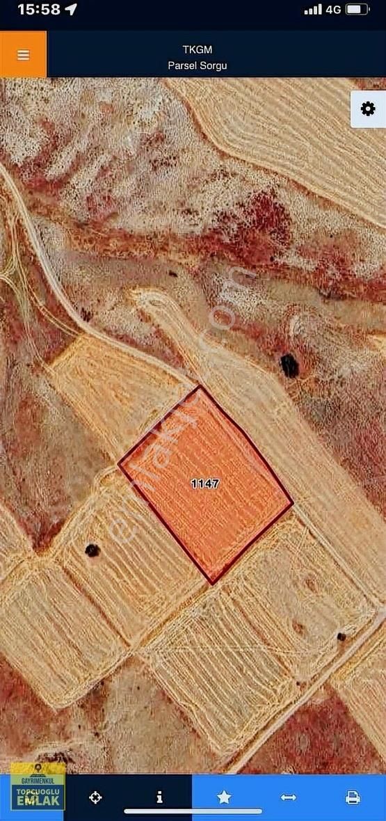 Burdur Karamanlı Kayalı Köyünde.4650.metrekare.acil - Görsel 3