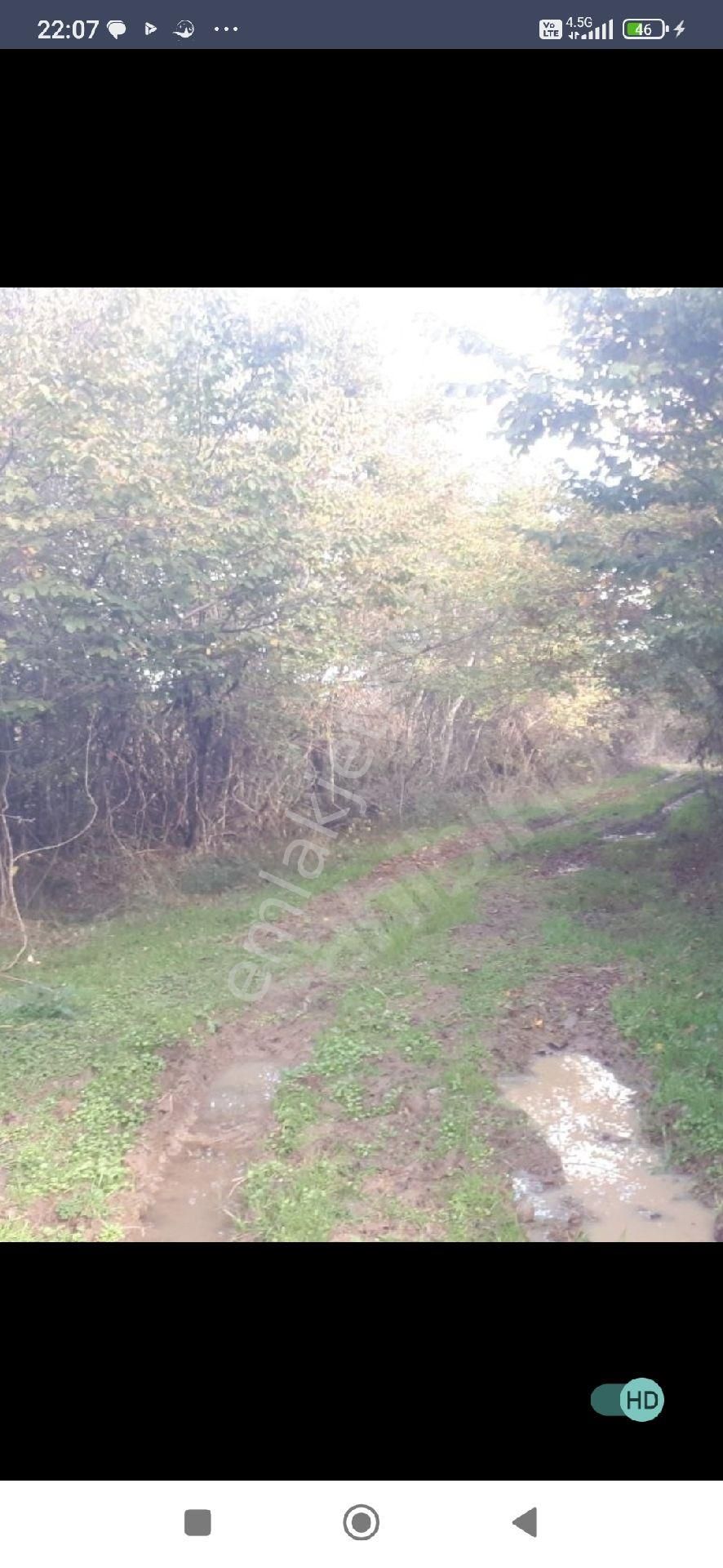 Samsun Terme Besiklide Satikik Cakiltak Fintik Dikili Findik Bahcesi Satilikdir - Görsel 4