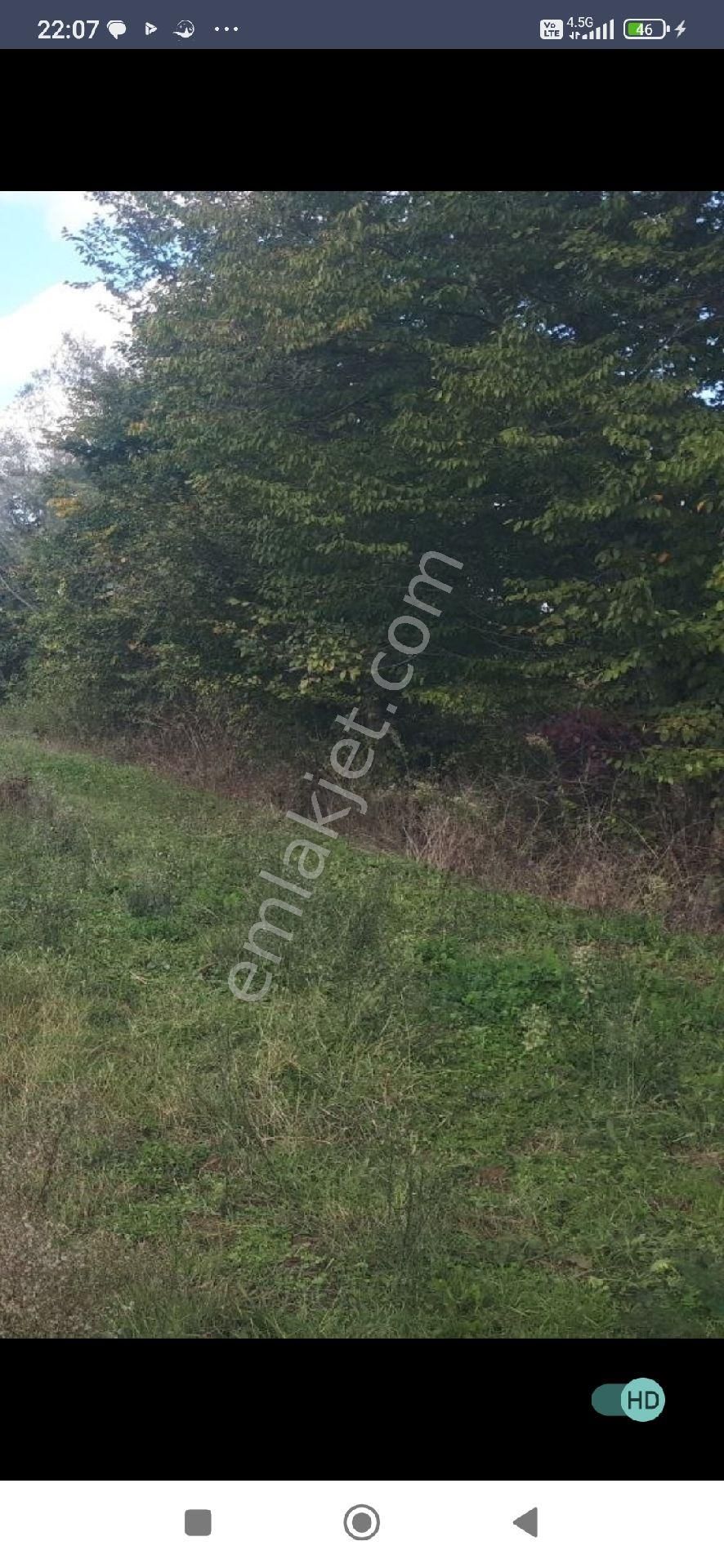 Samsun Terme Besiklide Satikik Cakiltak Fintik Dikili Findik Bahcesi Satilikdir - Görsel 9