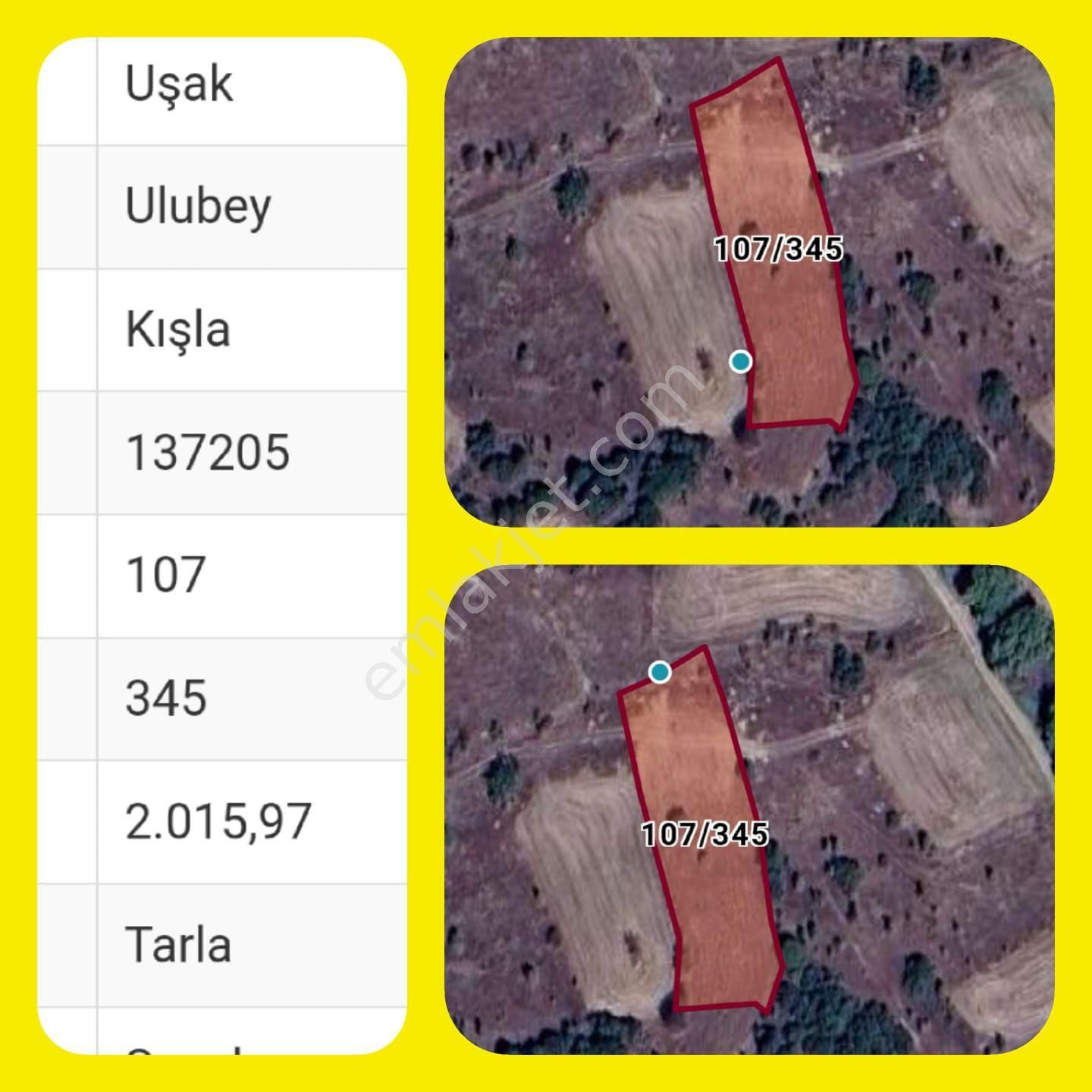 Ulubey Kışla Köyü Satılık Tarla Uşak Ulubey Kışla Köyü'nde satılık tarla