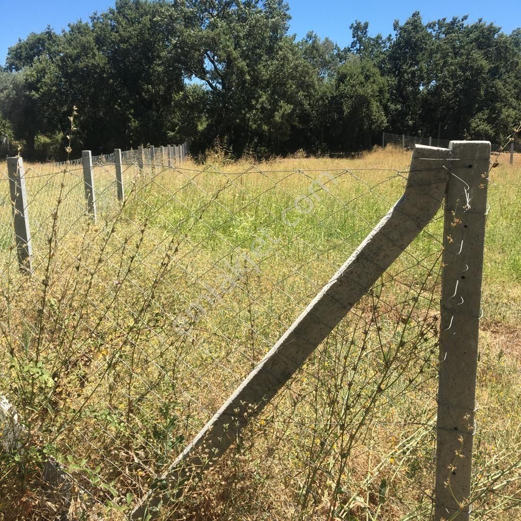 Torbalı Dirmil Satılık Zeytinlik Turpa Güven  satılık tarla 