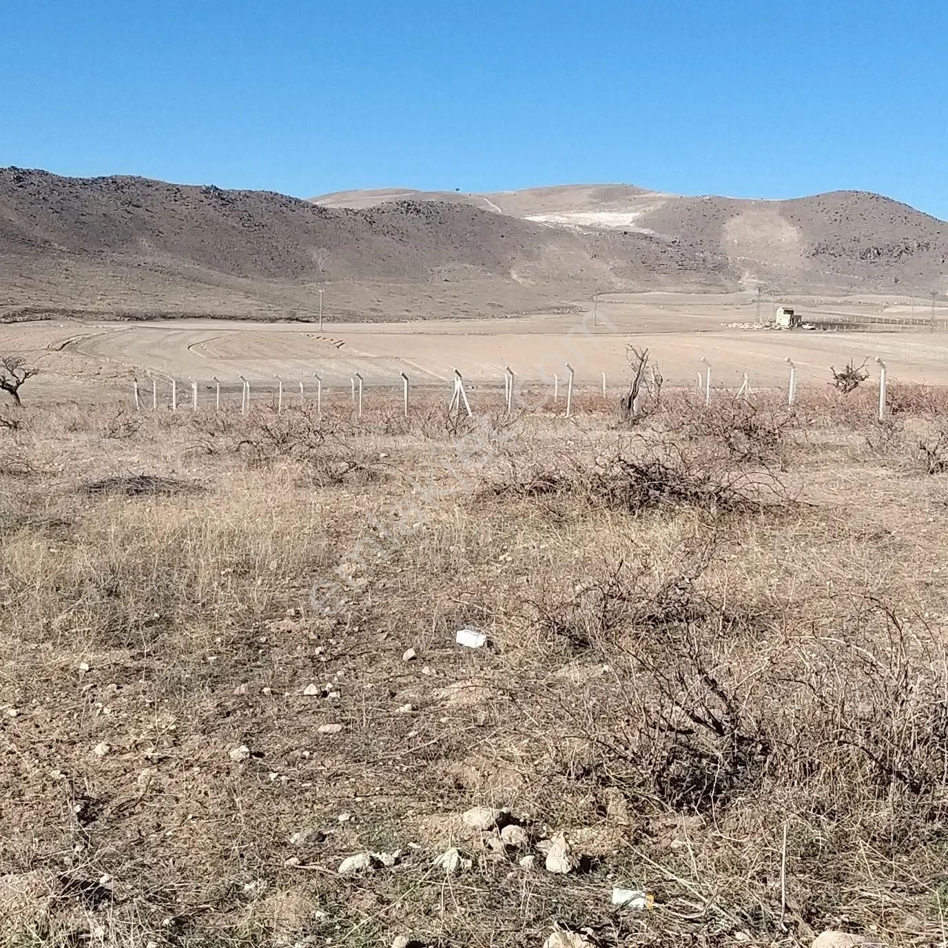 Develi Reşadiye Satılık Bağ & Bahçe BOSTANCI EMLAKTAN SATILIK BAĞ