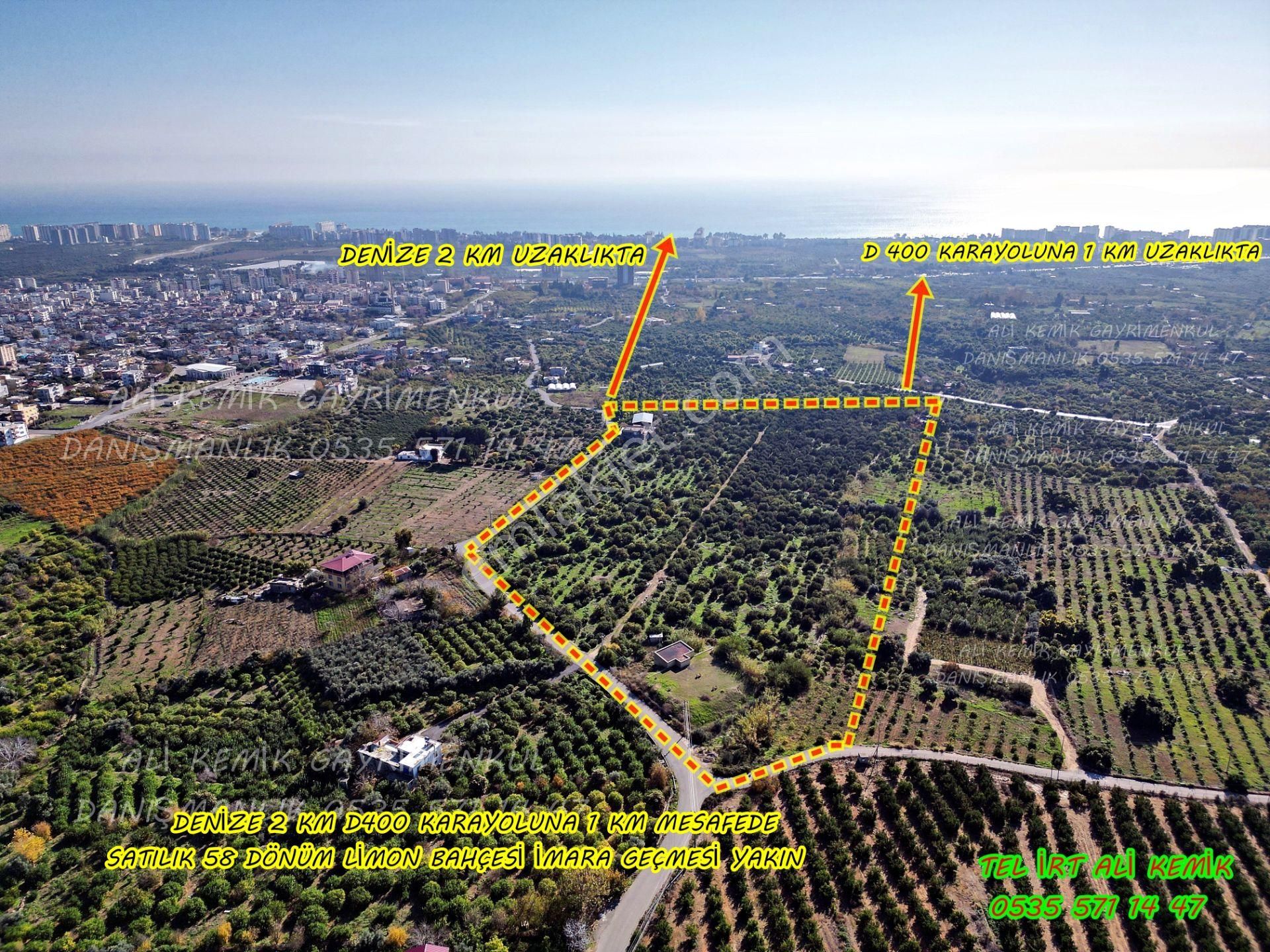 Erdemli Kargıpınarı Satılık Bağ & Bahçe 58 Dönüm Limon Bahçesi İmar Uygulaması İçin Eli Kulagında
