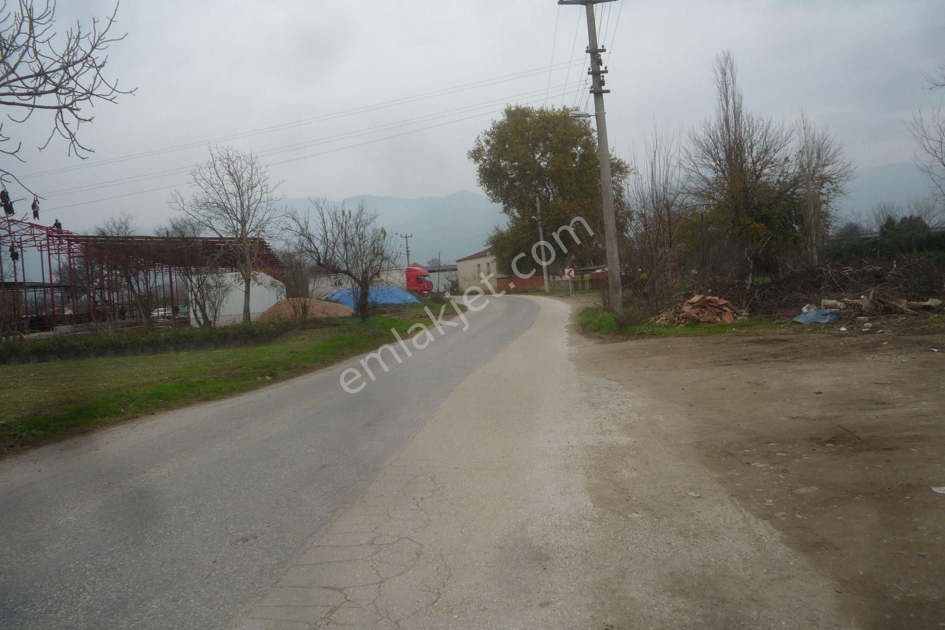 İzmir Torbalı Gold Emlaktan Satılık Tarla - Görsel 4