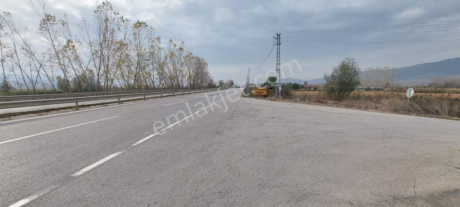 Turhal Kat Köyü (Çay) Satılık Tarla VADİ EMLAK'TAN TOKAT TURHAL ANA YOLA 100M MESAFEDE ANAYOLA CEPHELİ