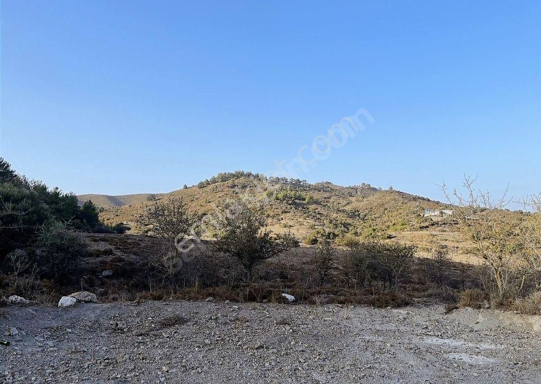 Fırsat!!! Seferihisar Kavakdere 252 M2 Elektrik Ve Su Olan Satılık Hisseli Tarla - Görsel 5