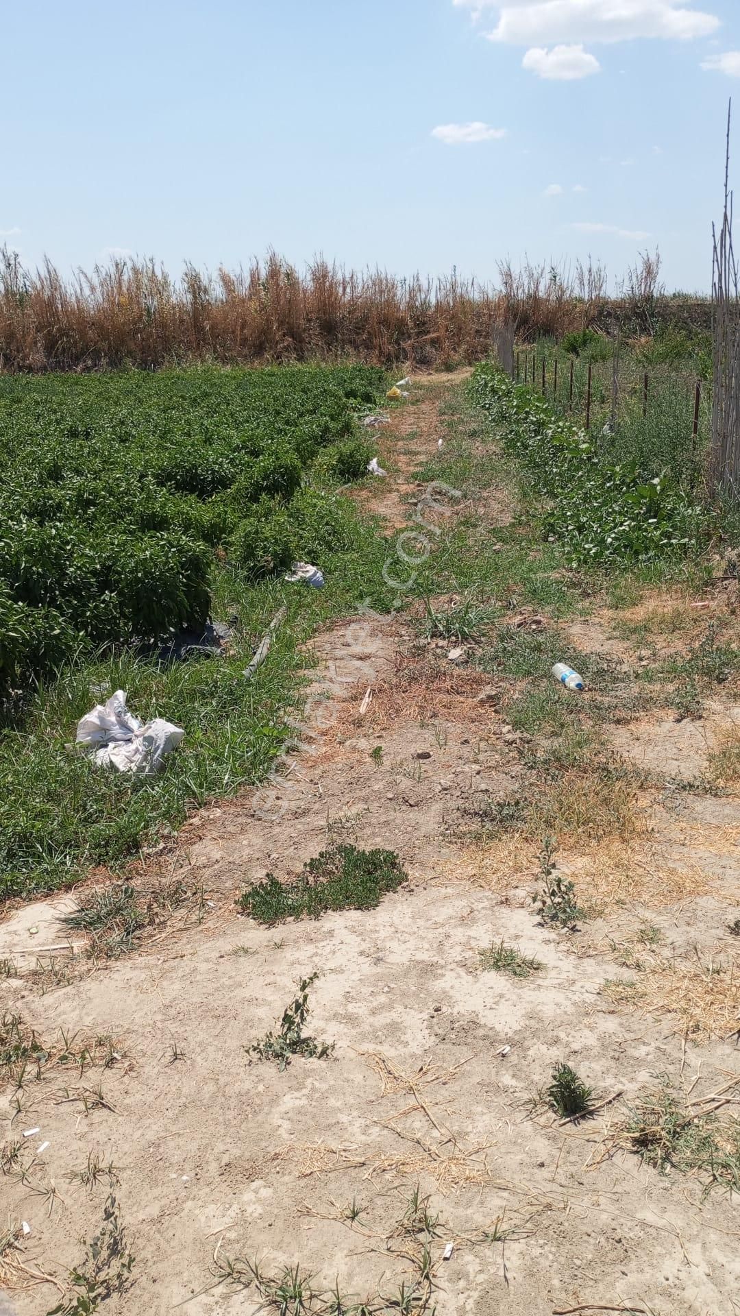 Aydın Nazilli Yöntem Emlaktan Yenipazar Donduran Mahallesinde Atça Yoluna Sıfır Satılık Tarla - Görsel 12