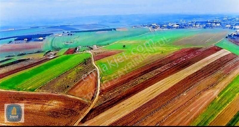 Marmaraereğlisi Çeşmeli Satılık Tarla Tekirdağ Marmaraereğlisi Çeşmelide Satılık Arsa