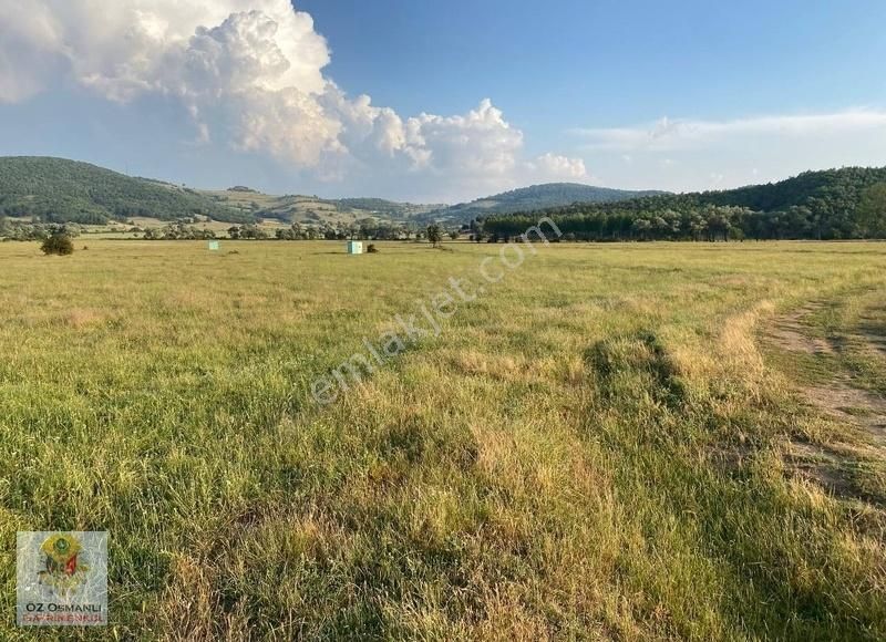 Osmaneli Hisarcık Köyü Satılık Tarla HİSARCIK OVASINDA UYGUN FİYATLI 8 DÖNÜM ARAZİ- OSMANLI GYRMNKL