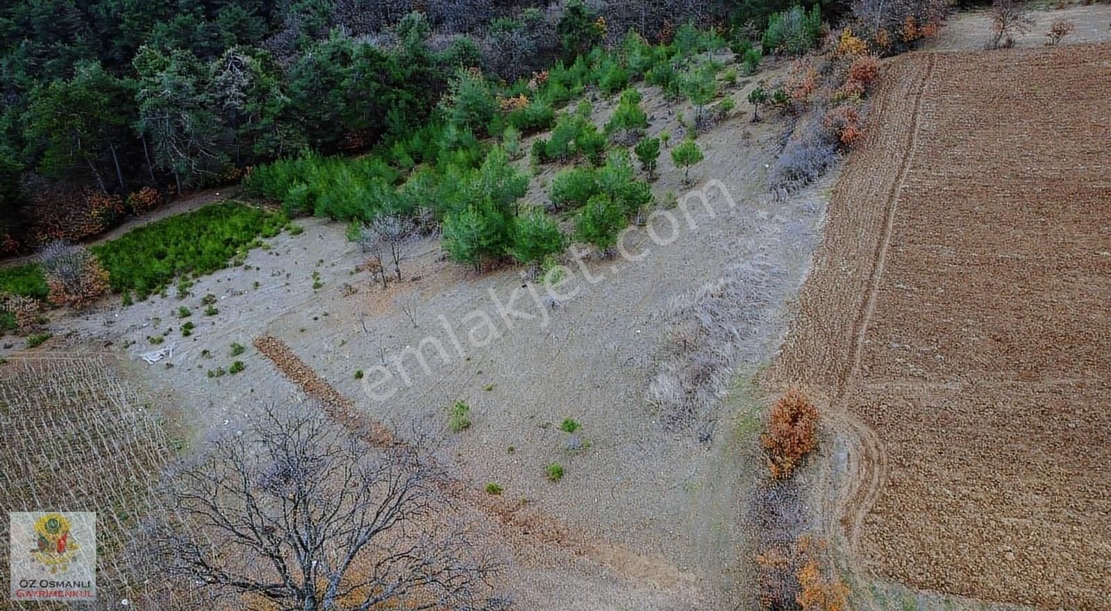 Osmaneli Akçapınar Köyü Satılık Tarla AKÇAPINAR KÖYÜNDE 4002 M2 SATILIK TARLA