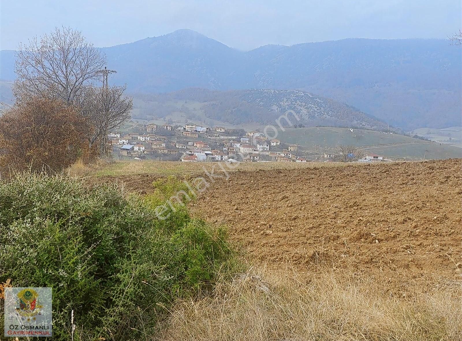 Osmaneli Oğulpaşa Köyü (Merkez) Satılık Tarla RESMİ YOLU OLAN 5 DÖNÜM KÖYE YAKIN YATIRIMLIK ARAZİ