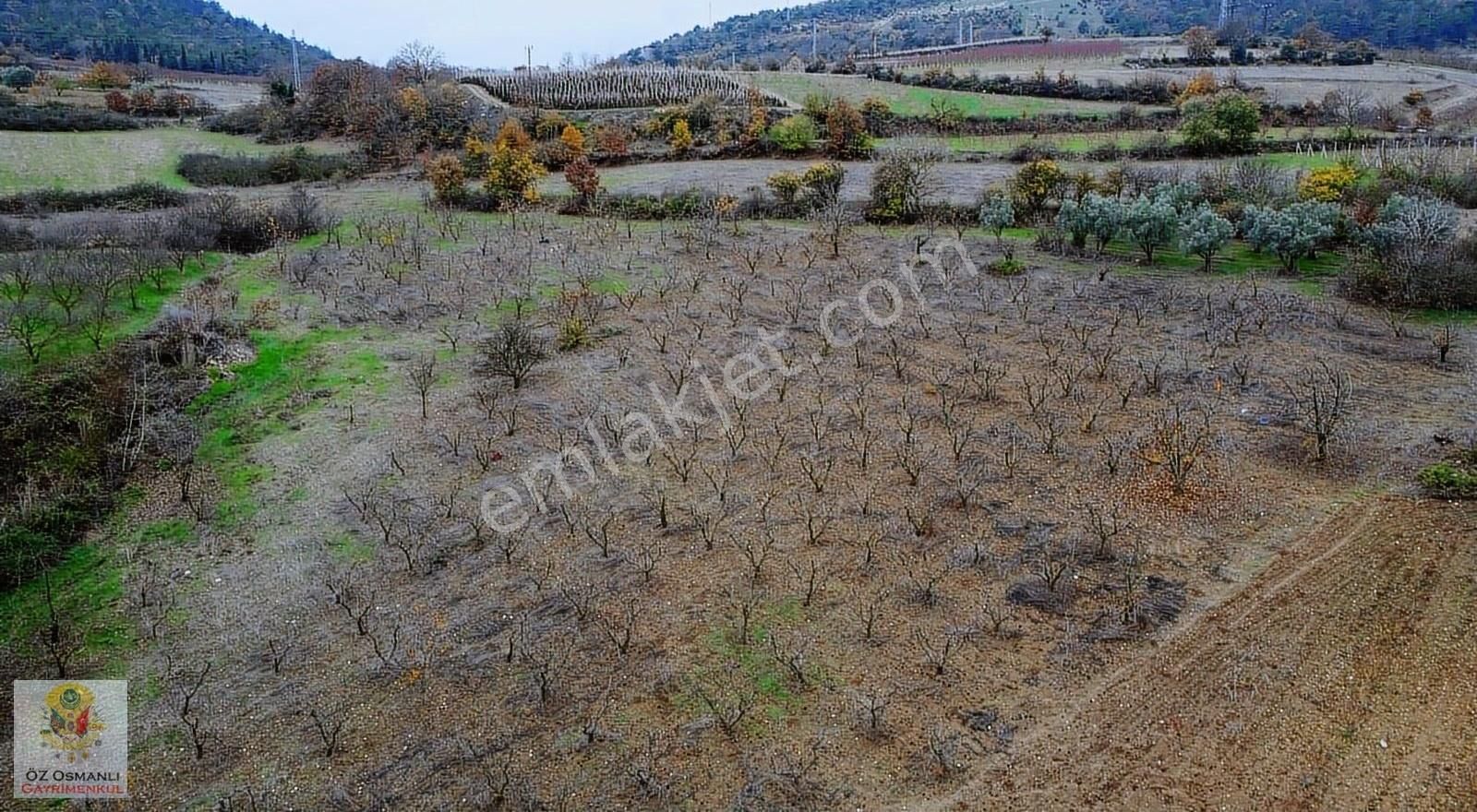 4,600 M2 Manzaralı Resmi Yolu Olan Arazi- Osmanlı Gayrimenkul