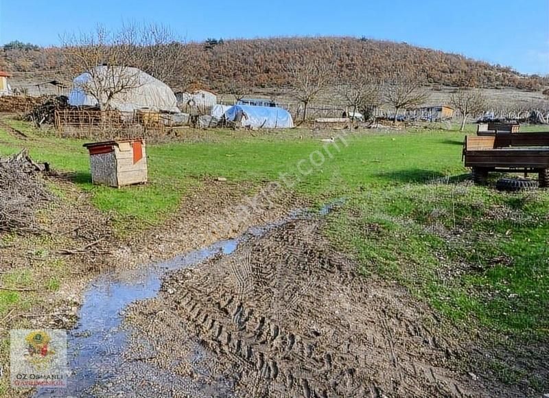 Osmaneli Boyunkaya Köyü Satılık Tarla BOYUNKAYA'DA KÖY İÇİ 477 M2 İMARLI ARSA- OSMANLI GAYRİMENKUL'DEN