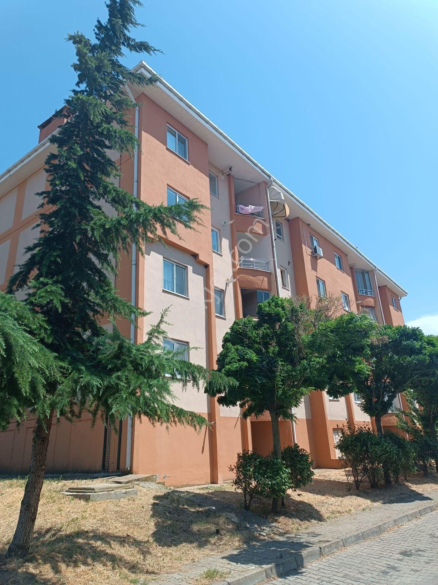 Newcıty Emlaktan Toki Konutlarında Satılık 2+1 Balkonlu Daire