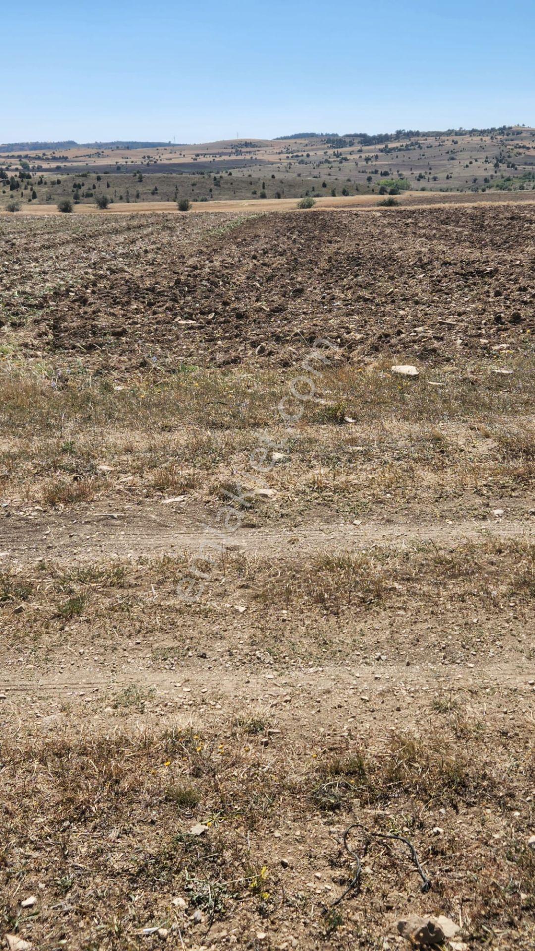 Kütahya Merkez'de 2.277 M2 İl Merkezinde Dümdüz Yatırımlık Fırsat Arazi ! - Görsel 2