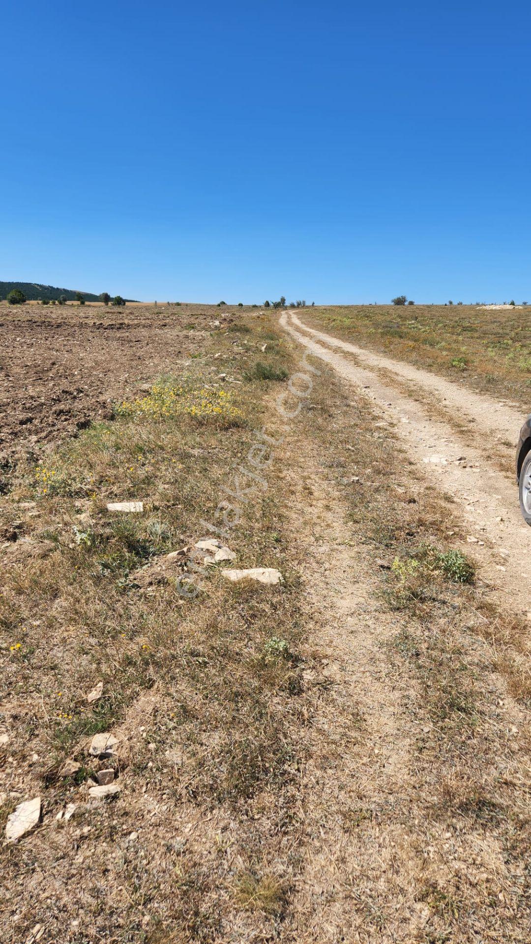 Kütahya Merkez'de 2.277 M2 İl Merkezinde Dümdüz Yatırımlık Fırsat Arazi ! - Görsel 4