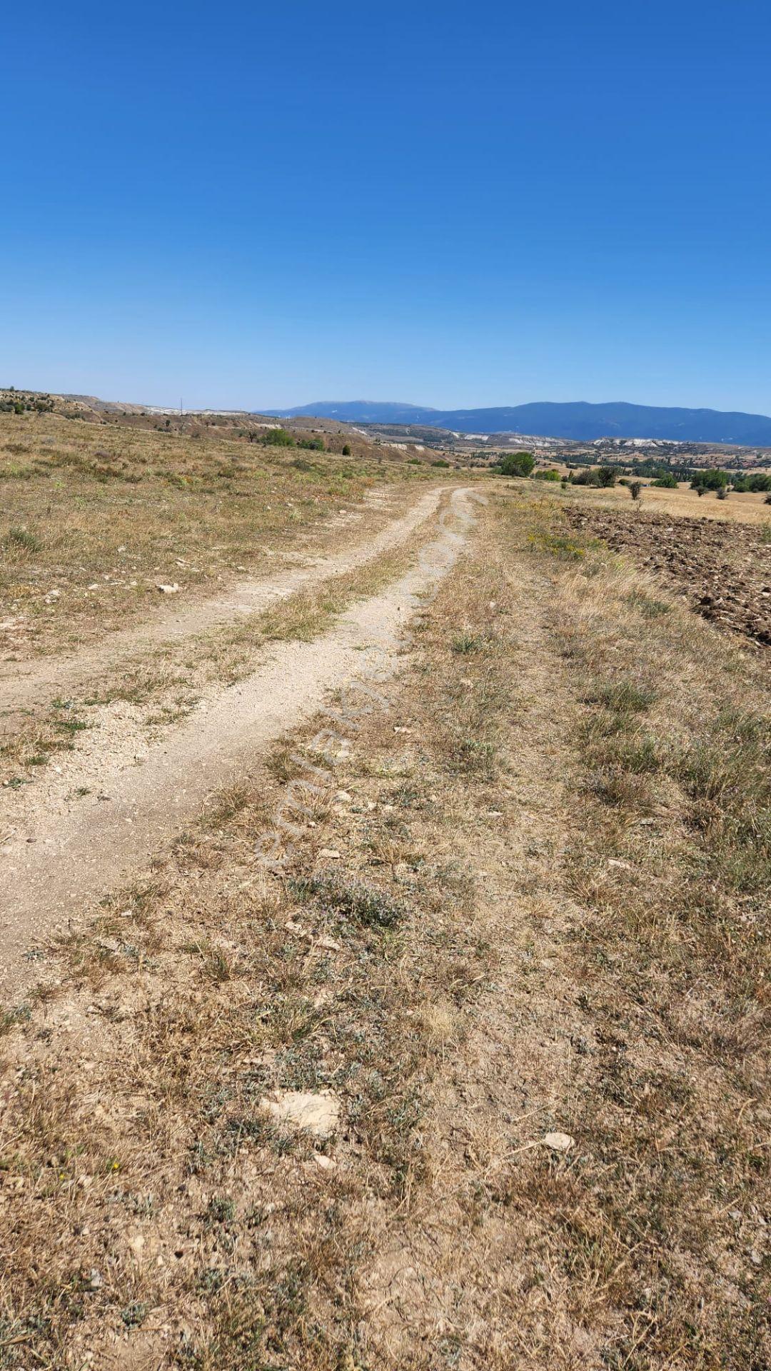 Kütahya Merkez'de 2.277 M2 İl Merkezinde Dümdüz Yatırımlık Fırsat Arazi ! - Görsel 3