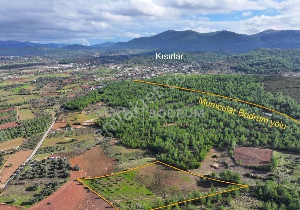 Milas Kısırlar Satılık Tarla BODRUM MERKEZE 35 KM MESAFEDE 10.500 M2 SATILIK TARLA