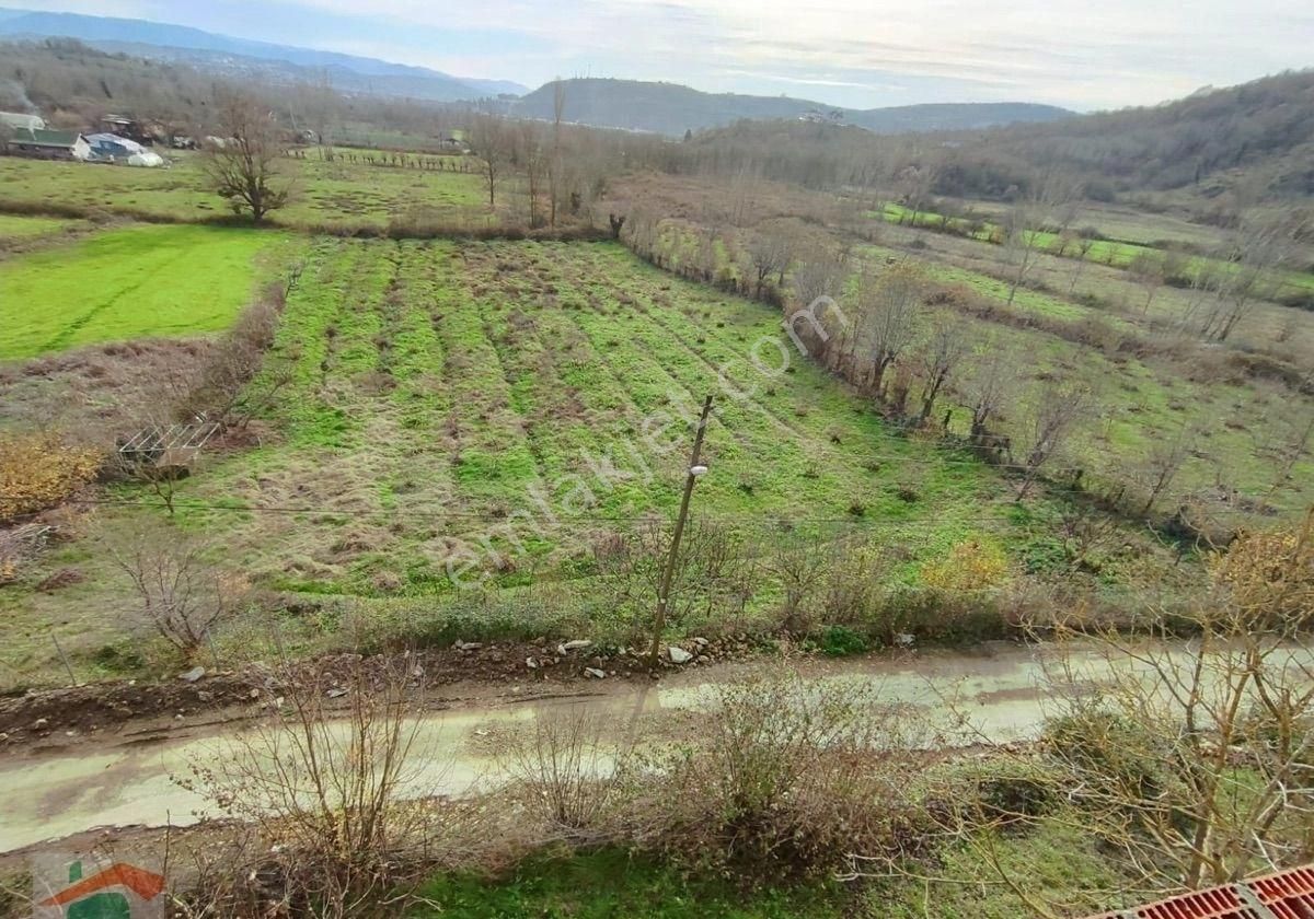 Bartın Merkez Kocareis Köyü (Merkez) Satılık Tarla Bartın merkeze yakın Kocareis köyü 4.600 m2 arazi