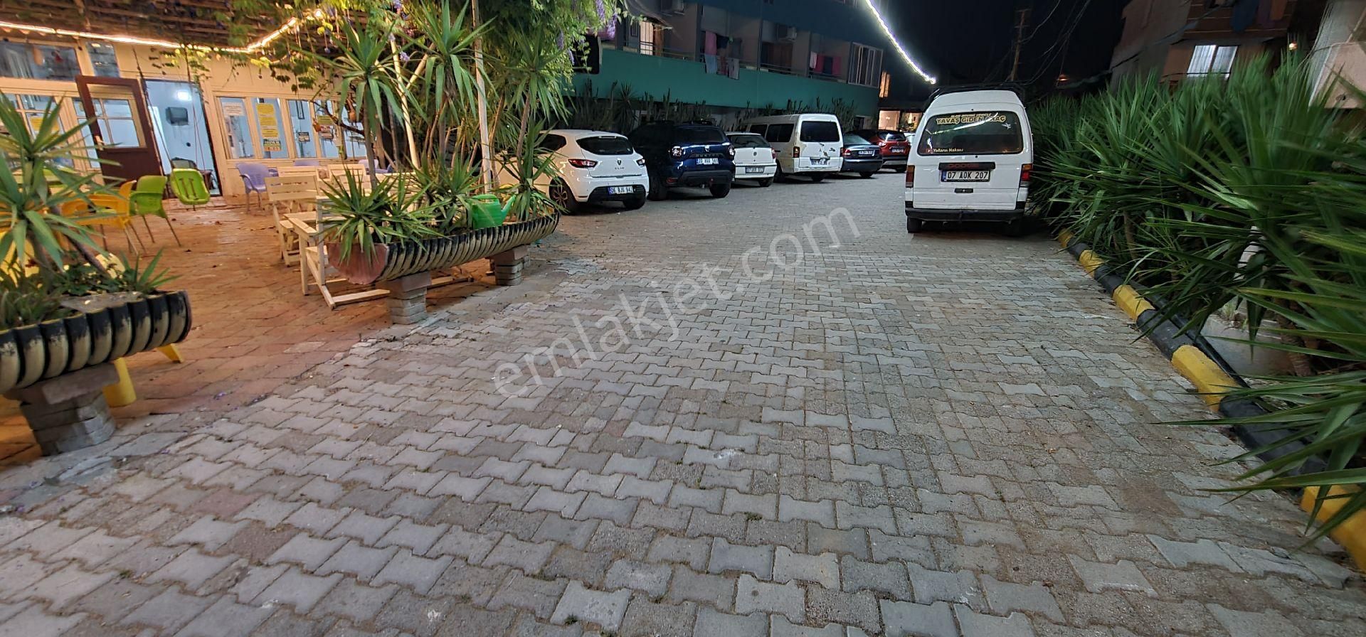 Ailenizle Huzurlu Bir Tatil İçin Buradayız - Görsel 34