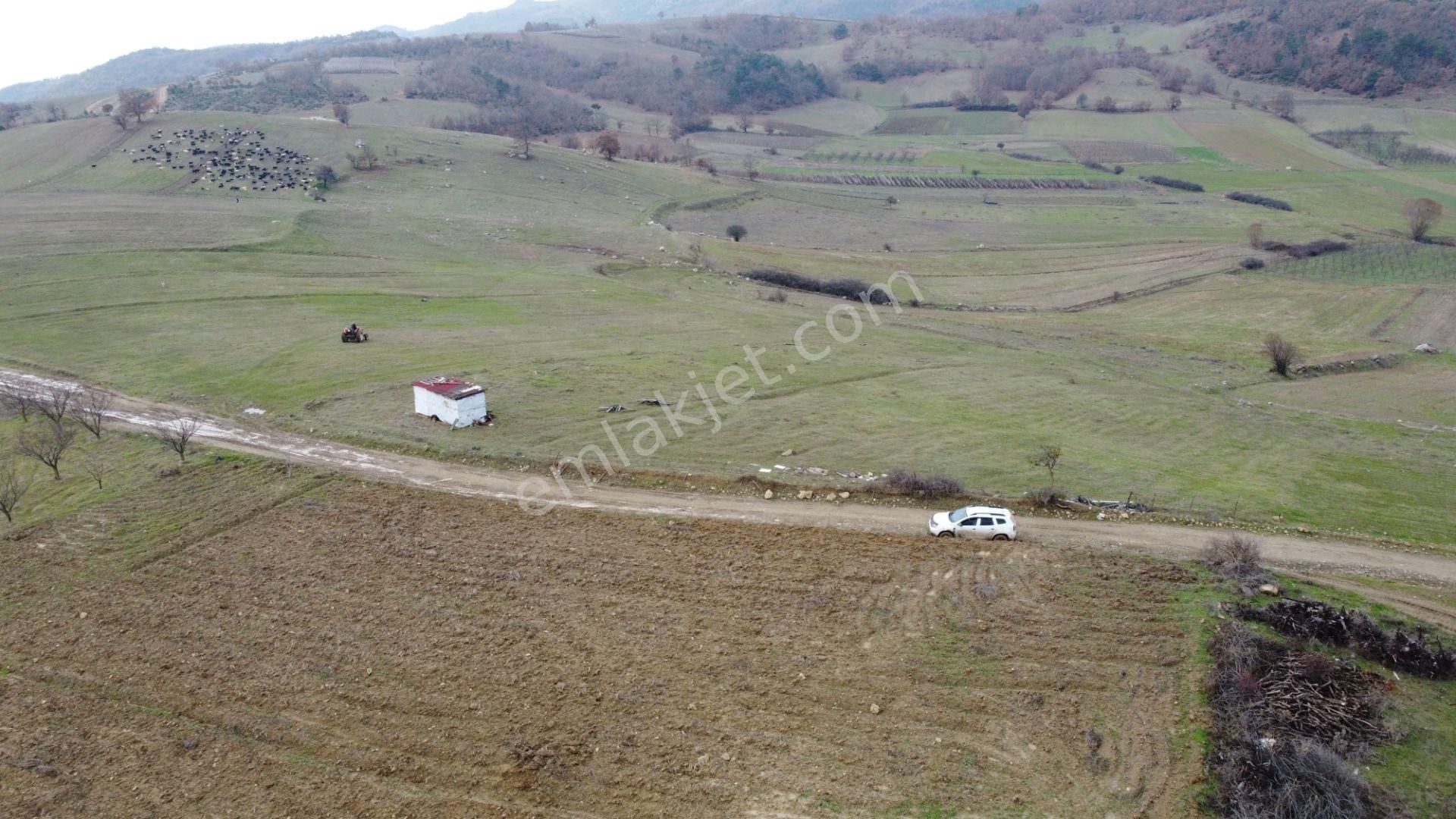 Osmaneli Oğulpaşa Köyü (Merkez) Satılık Tarla  OĞULPAŞA KÖYÜNDE 14.477 M2  KÖY  YANI  ÇİFLİK   ARAZİSİ 