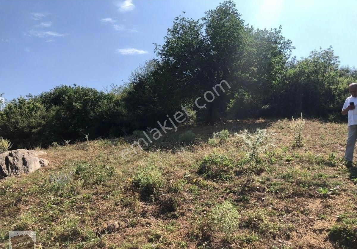 İzmir Bayındır Satılık Arsa - Görsel 4