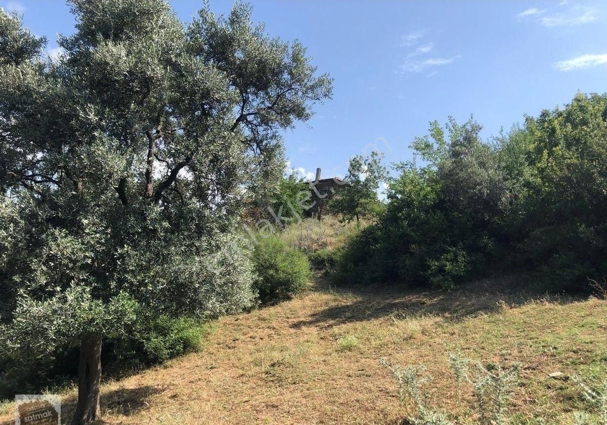 İzmir Bayındır Satılık Arsa - Görsel 3