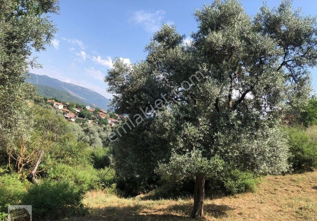 İzmir Bayındır Satılık Arsa - Görsel 5