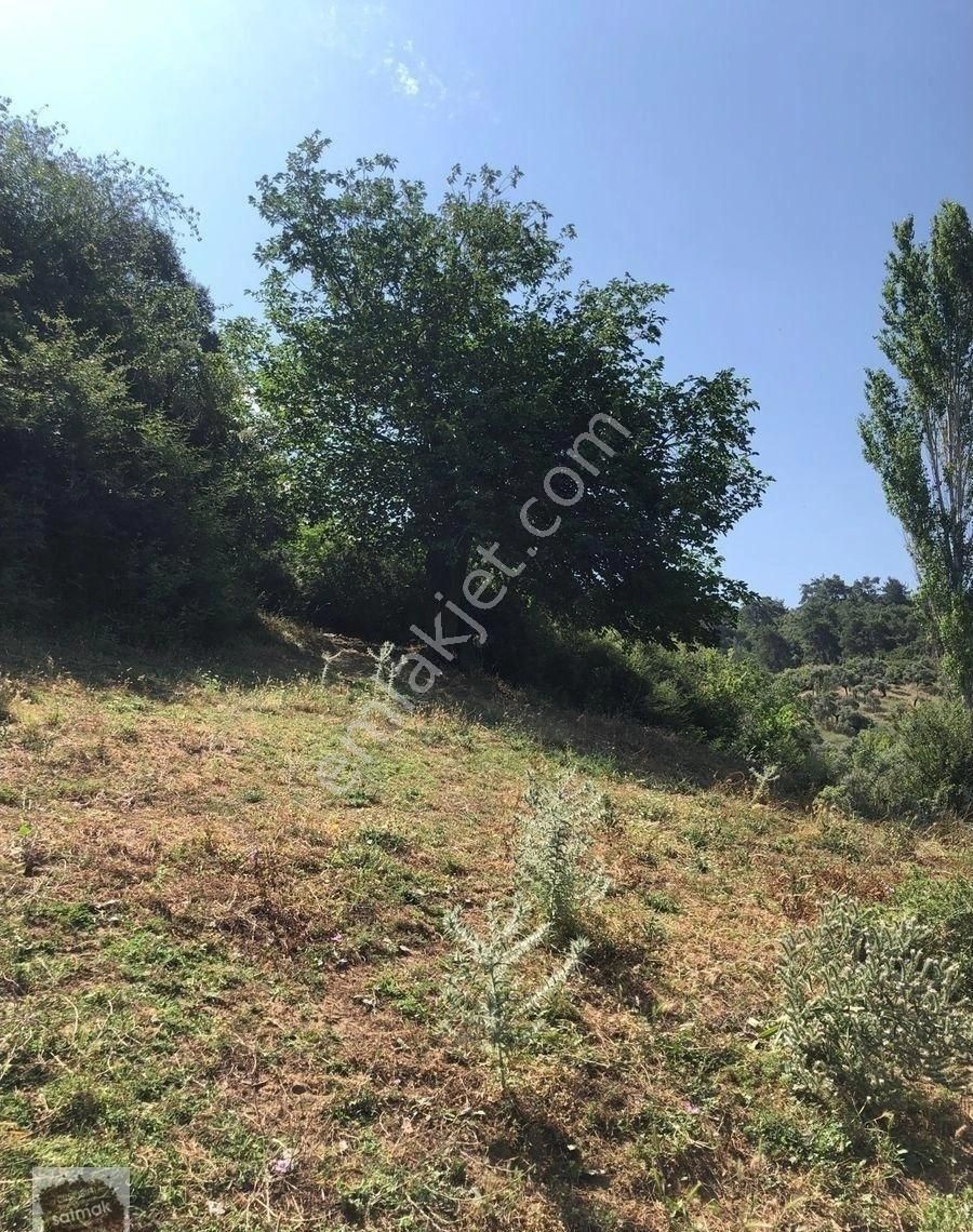 İzmir Bayındır Satılık Arsa - Görsel 6