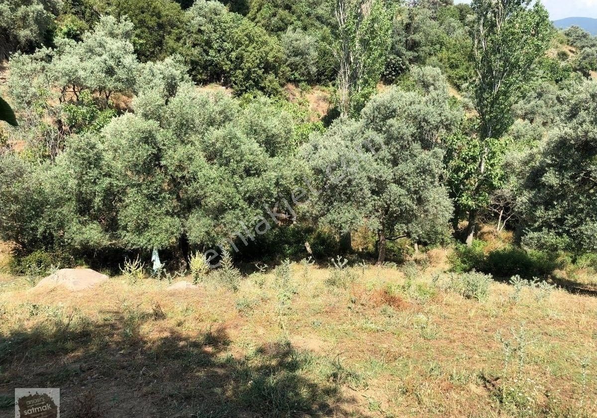 İzmir Bayındır Satılık Arsa - Görsel 8